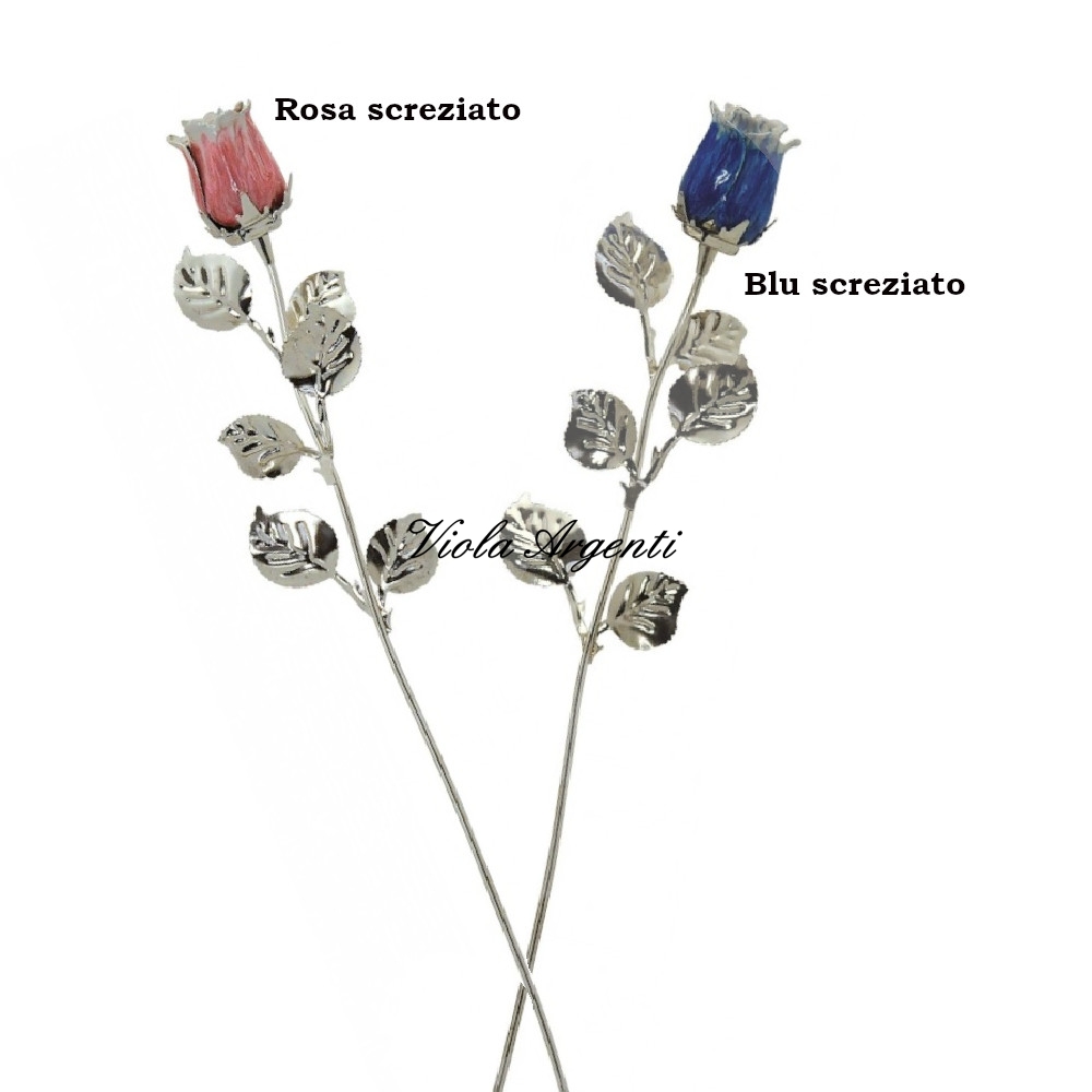 Rosa bocciolo piccolo colori screziati di . Argento online