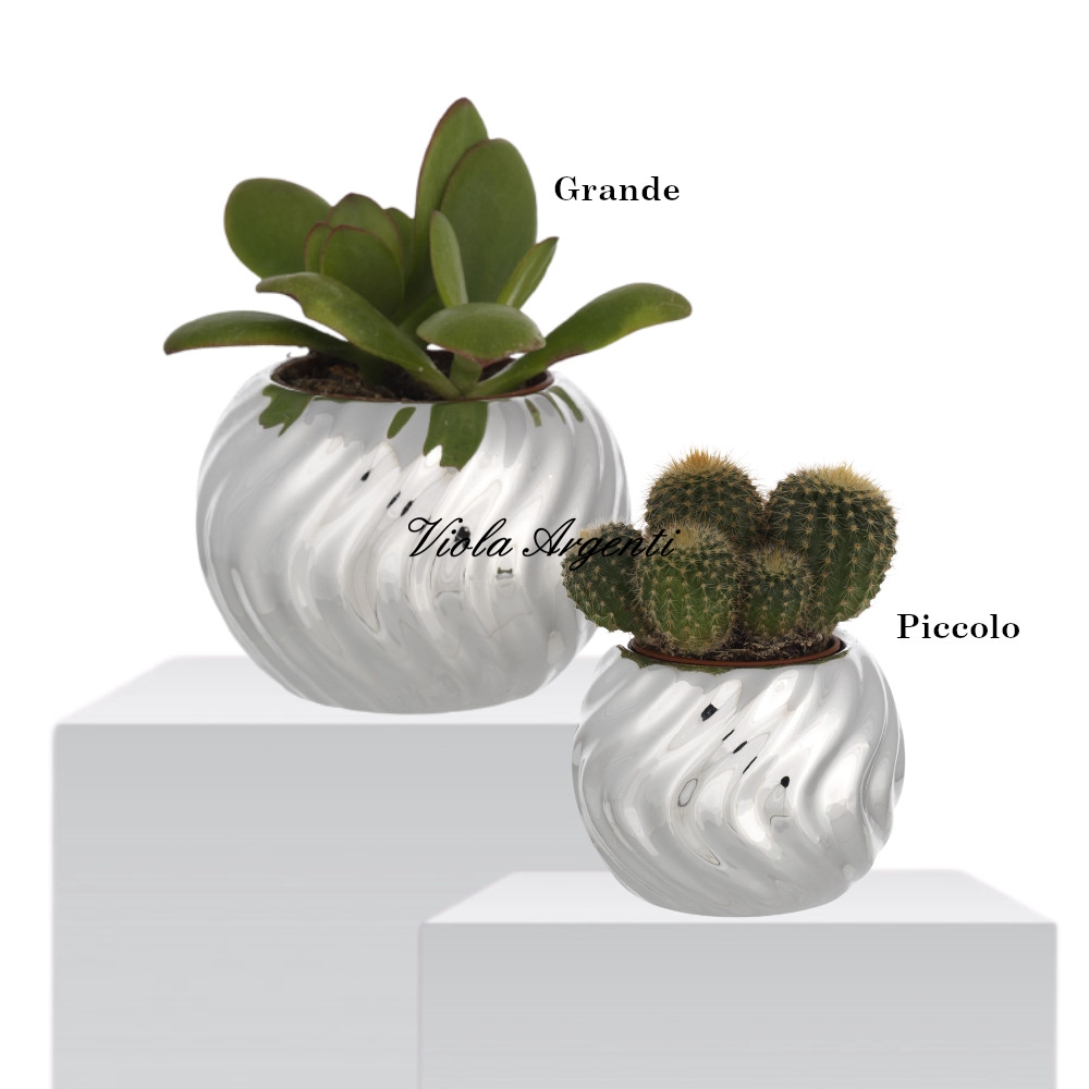 Piantine grasse in vaso a torciglione di . Argento online