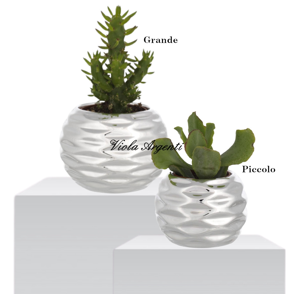 Piantine grasse in vaso a fesoni di . Argento online