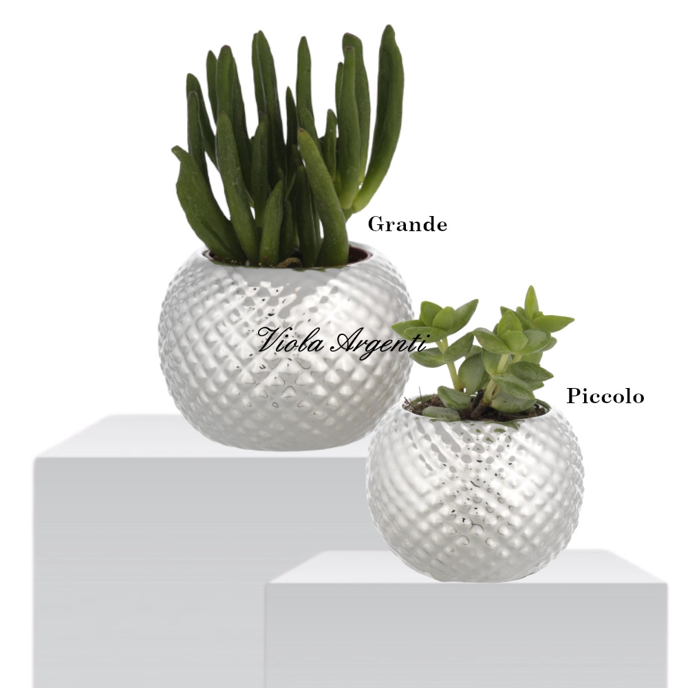 Piantine grasse in vaso a sfera di . Argento online