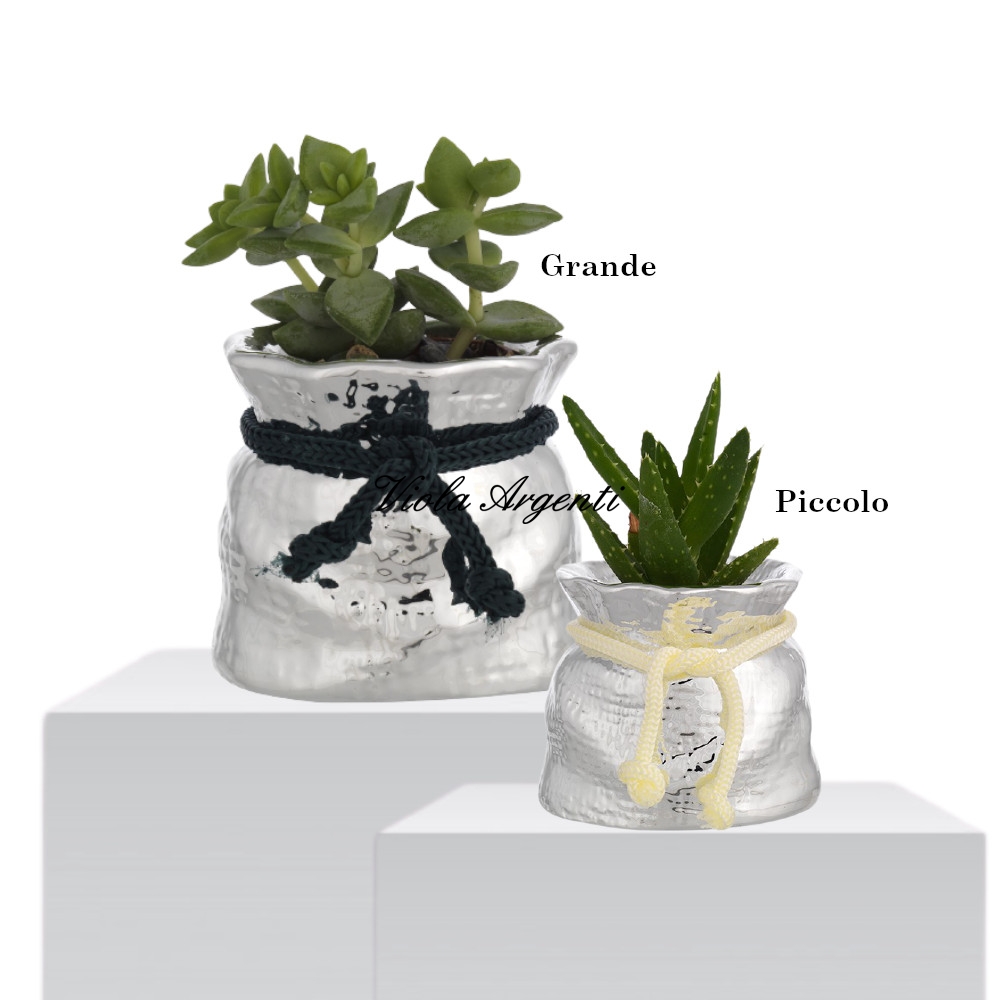 Piantine grasse in vaso a sacco di . Argento online