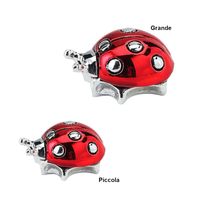 Coccinella rossa