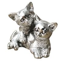 Coppia gattini