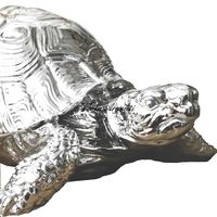 Tartaruga - 3