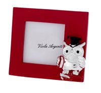 Cornice gufo libro