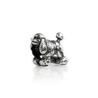 Charm barboncino