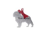 Cane Cavalier King