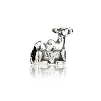 Charm cammello