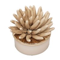 Candela corallo avorio