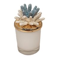 Candela corallo bicolore bianco azzurro