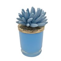 Candela corallo azzurro