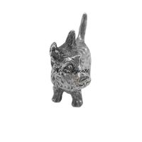 Fox terrier argento - 3