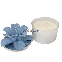 Candela anemone azzurro polvere