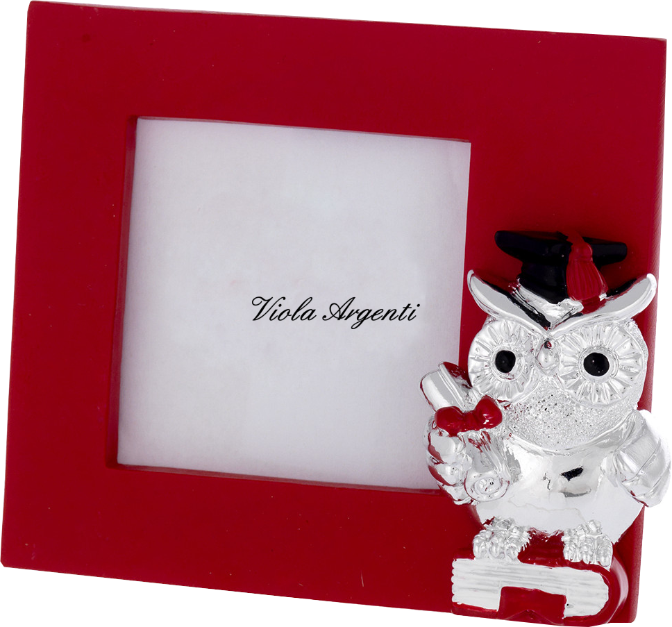 Cornice gufo diploma di . Argento online