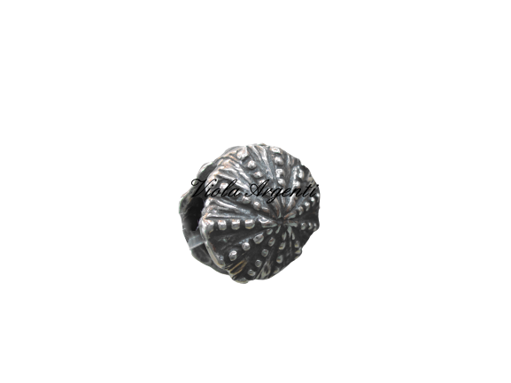 Charm conchiglia di Tedora. Argento online