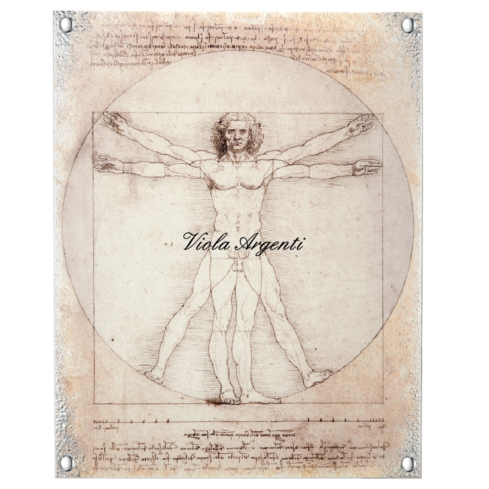 Quadro uomo vitruviano di . Argento online