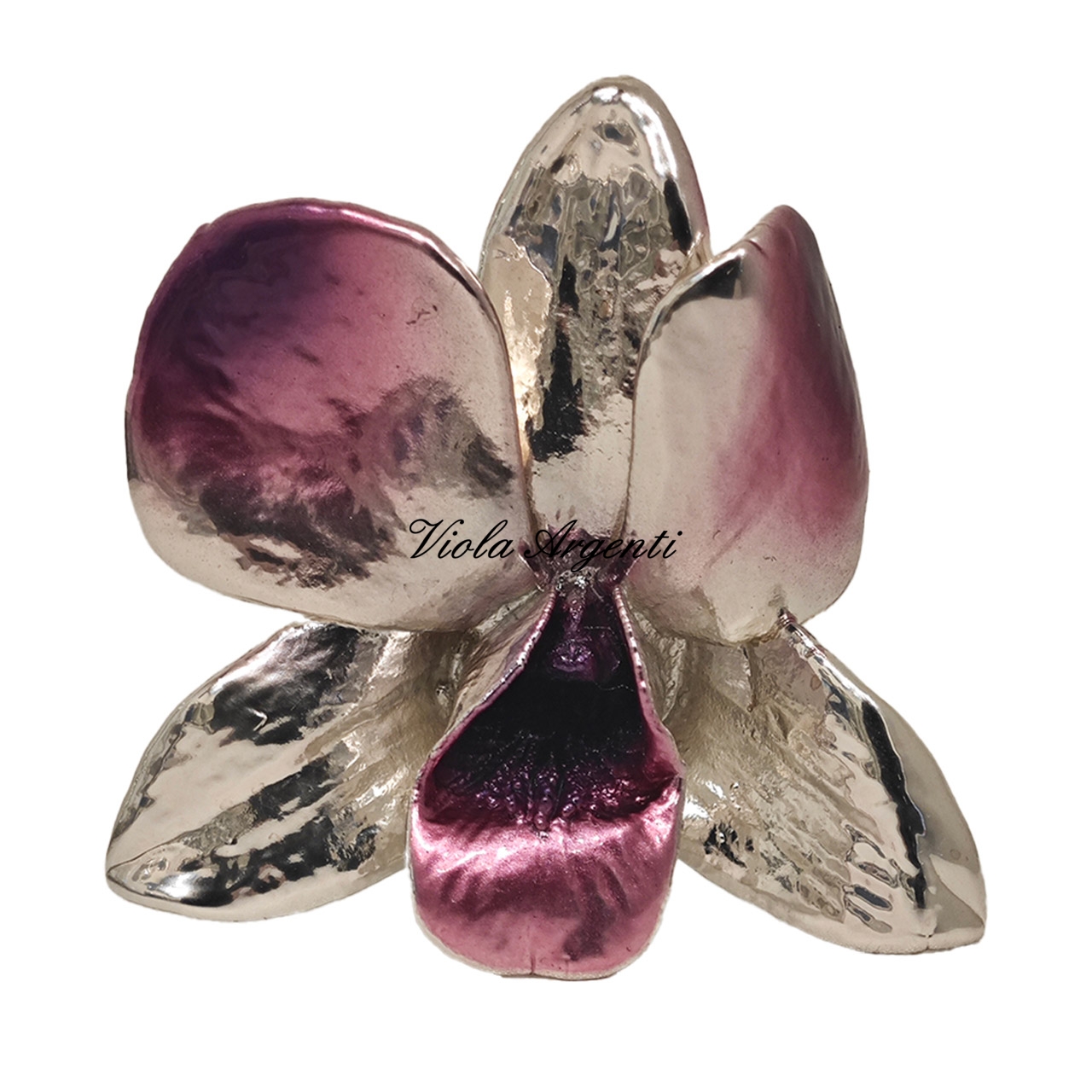 Orchidea vera argentata ciclamino di . Argento online