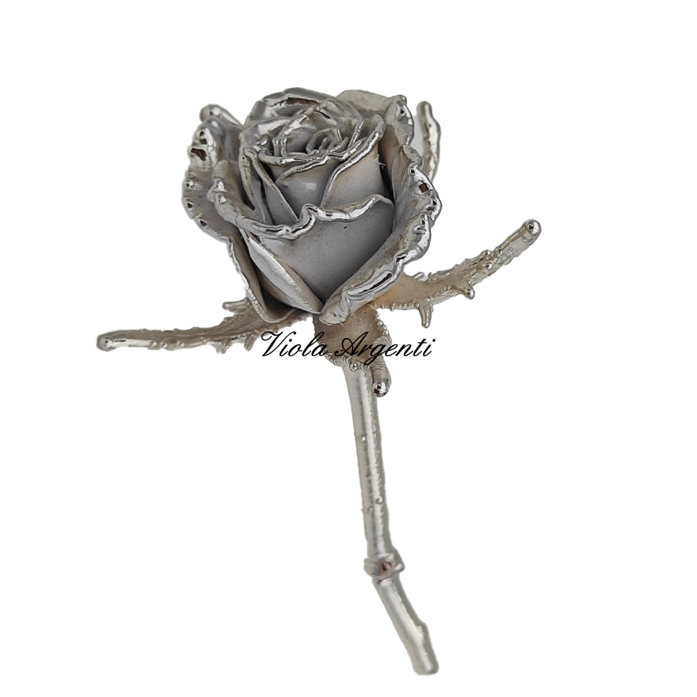 Rosa naturale media bianca di . Argento online