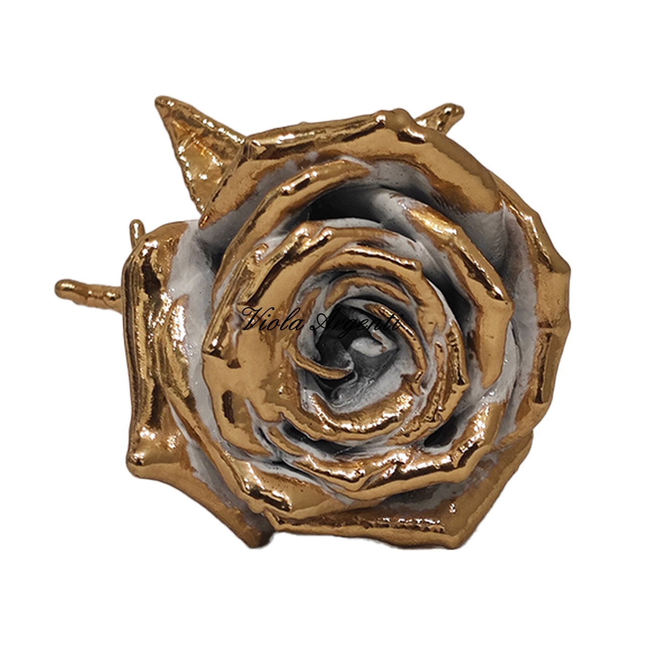 Rosa naturale argentata di . Argento online