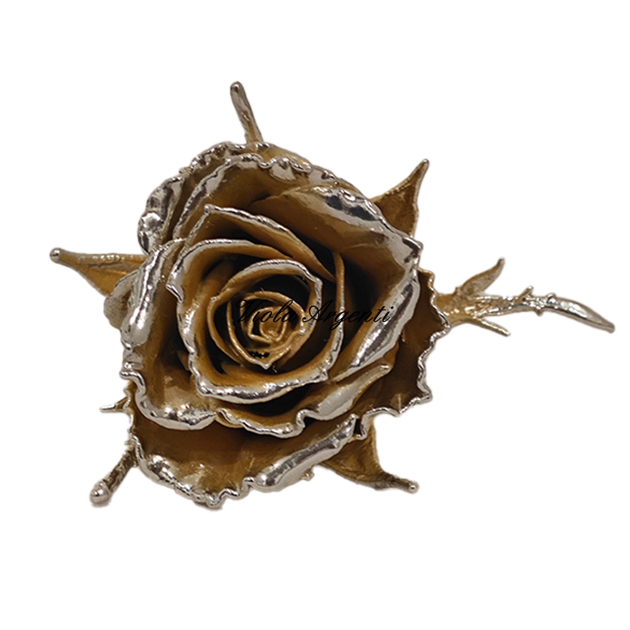 Rosa naturale argentata color oro di . Argento online