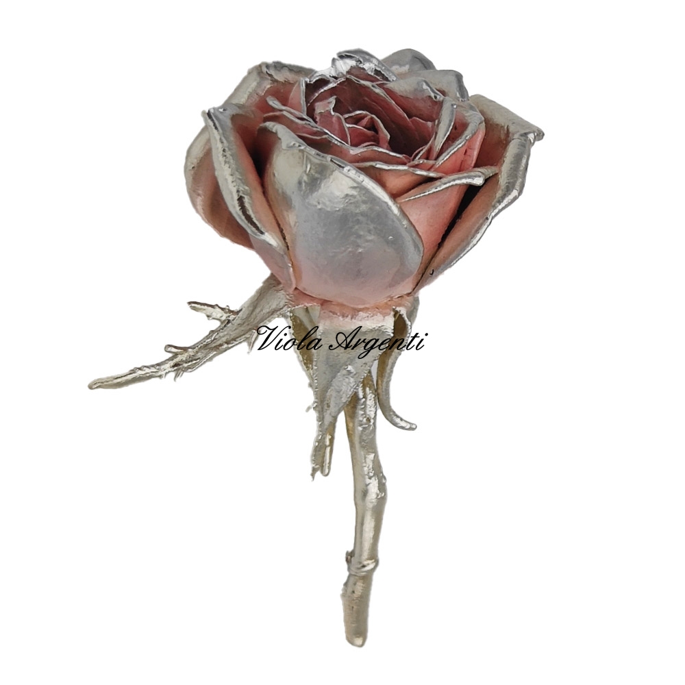 Rosa media madreperla e rosa di . Argento online