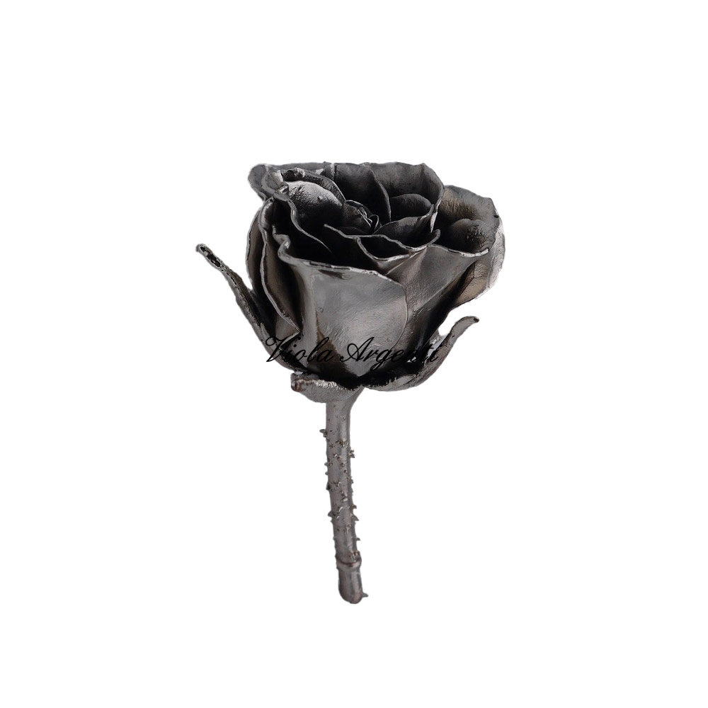 Rosa naturale argento anticato di . Argento online